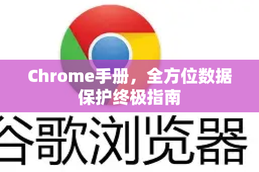 Chrome手册，全方位数据保护终极指南