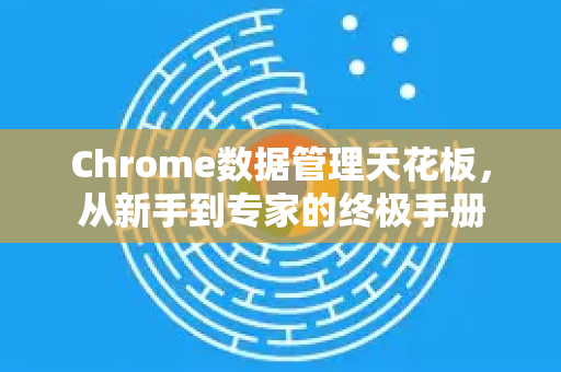 Chrome数据管理天花板，从新手到专家的终极手册
