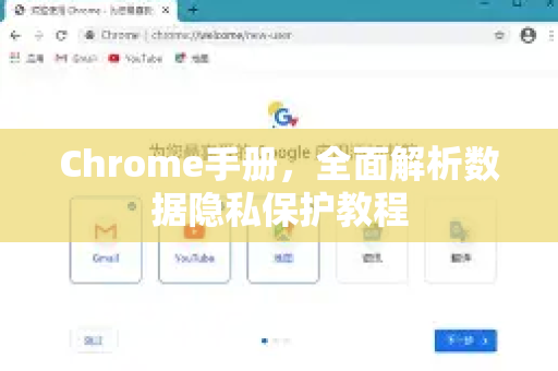 Chrome手册，全面解析数据隐私保护教程