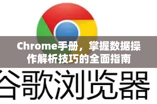 Chrome手册，掌握数据操作解析技巧的全面指南