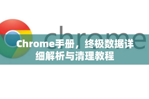 Chrome手册，终极数据详细解析与清理教程