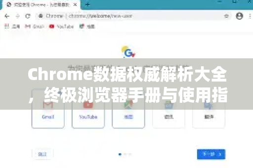 Chrome数据权威解析大全，终极浏览器手册与使用指南