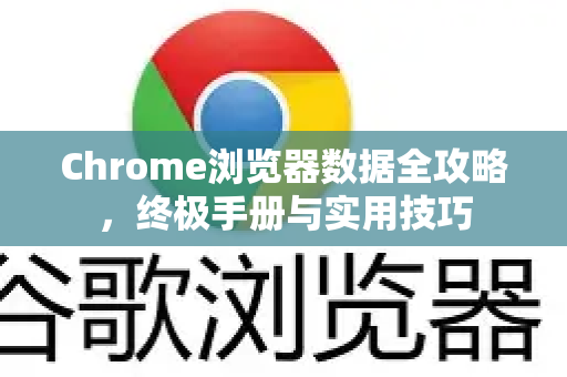 Chrome浏览器数据全攻略，终极手册与实用技巧