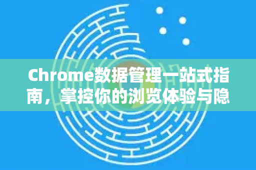 Chrome数据管理一站式指南，掌控你的浏览体验与隐私安全