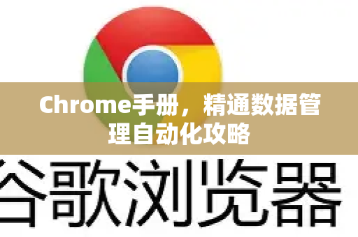 Chrome手册，精通数据管理自动化攻略