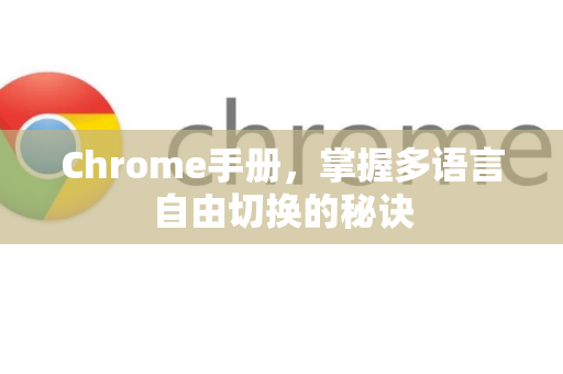 Chrome手册，掌握多语言自由切换的秘诀