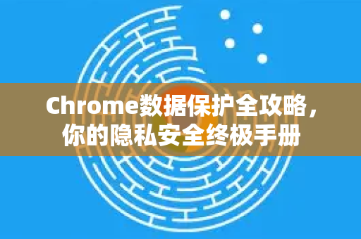 Chrome数据保护全攻略，你的隐私安全终极手册