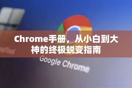 Chrome手册，从小白到大神的终极蜕变指南
