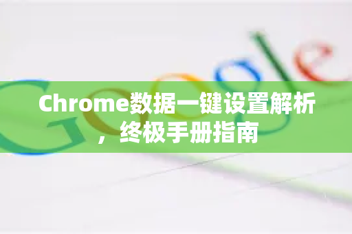 Chrome数据一键设置解析，终极手册指南