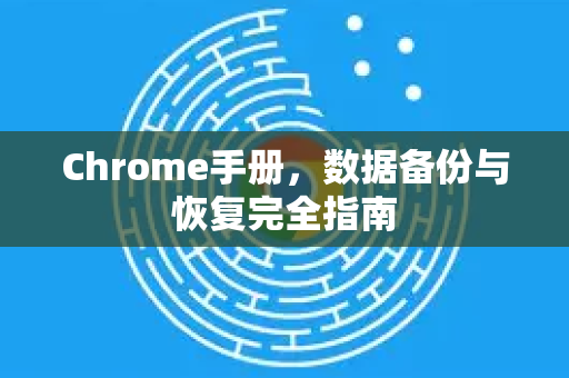 Chrome手册，数据备份与恢复完全指南