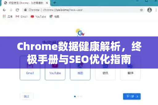 Chrome数据健康解析，终极手册与SEO优化指南