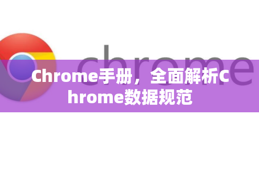 Chrome手册，全面解析Chrome数据规范