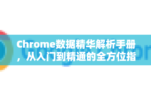 Chrome数据精华解析手册，从入门到精通的全方位指南