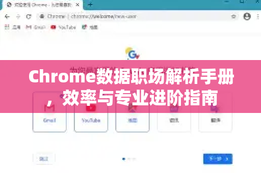 Chrome数据职场解析手册，效率与专业进阶指南