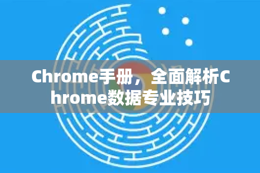 Chrome手册，全面解析Chrome数据专业技巧