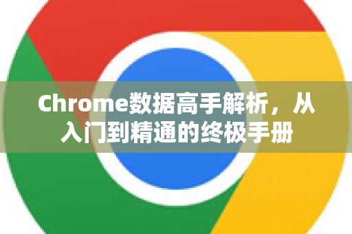 Chrome数据高手解析，从入门到精通的终极手册