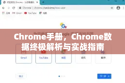 Chrome手册，Chrome数据终极解析与实战指南