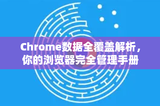 Chrome数据全覆盖解析，你的浏览器完全管理手册