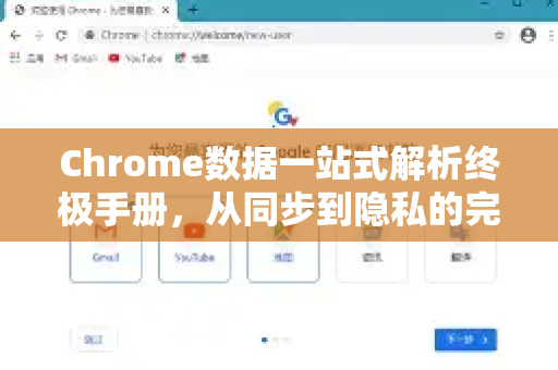Chrome数据一站式解析终极手册，从同步到隐私的完全指南