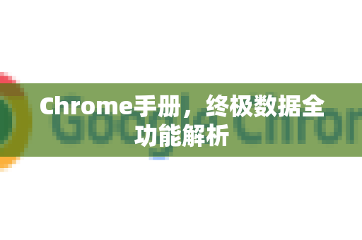 Chrome手册，终极数据全功能解析