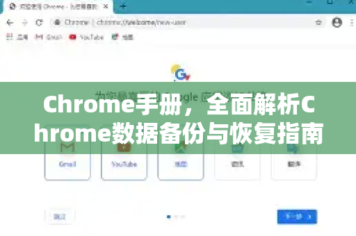 Chrome手册，全面解析Chrome数据备份与恢复指南