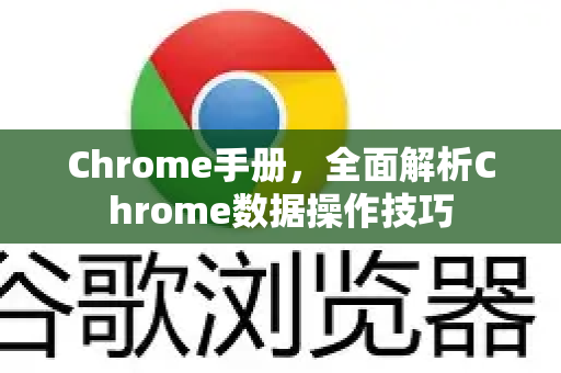 Chrome手册，全面解析Chrome数据操作技巧