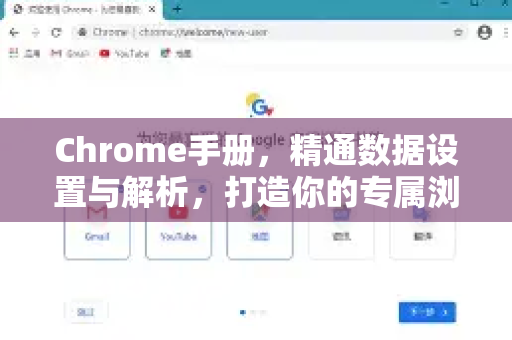 Chrome手册，精通数据设置与解析，打造你的专属浏览器