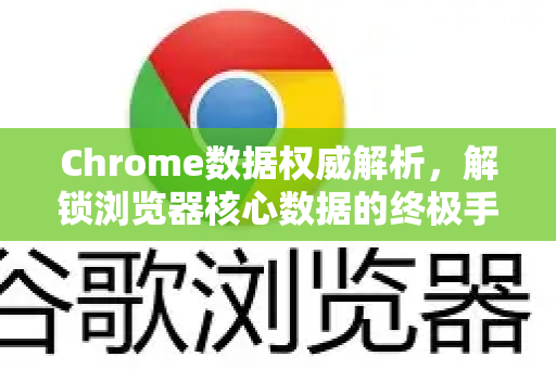 Chrome数据权威解析，解锁浏览器核心数据的终极手册