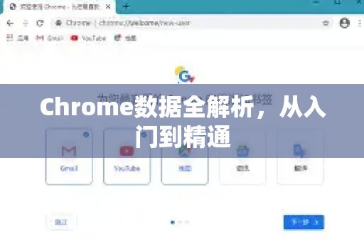 Chrome数据全解析，从入门到精通