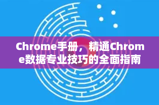 Chrome手册，精通Chrome数据专业技巧的全面指南