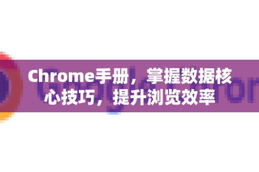 Chrome手册，掌握数据核心技巧，提升浏览效率