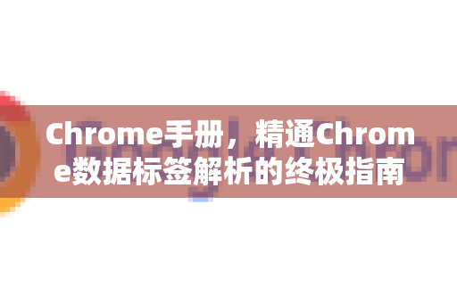 Chrome手册，精通Chrome数据标签解析的终极指南