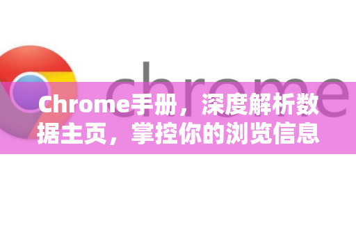 Chrome手册，深度解析数据主页，掌控你的浏览信息核心