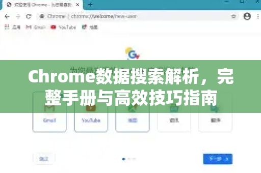 Chrome数据搜索解析，完整手册与高效技巧指南
