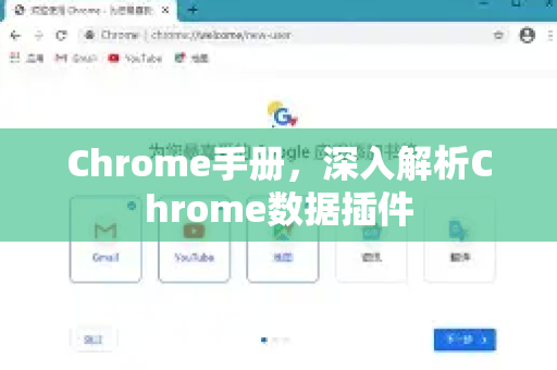 Chrome手册，深入解析Chrome数据插件