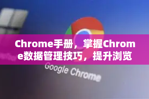 Chrome手册，掌握Chrome数据管理技巧，提升浏览效率