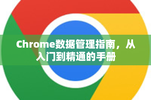 Chrome数据管理指南，从入门到精通的手册