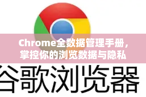 Chrome全数据管理手册，掌控你的浏览数据与隐私-第1张图片-Chrome下载官网|Google官方浏览器下载