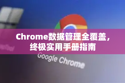 Chrome数据管理全覆盖，终极实用手册指南-第1张图片-Chrome下载官网|Google官方浏览器下载