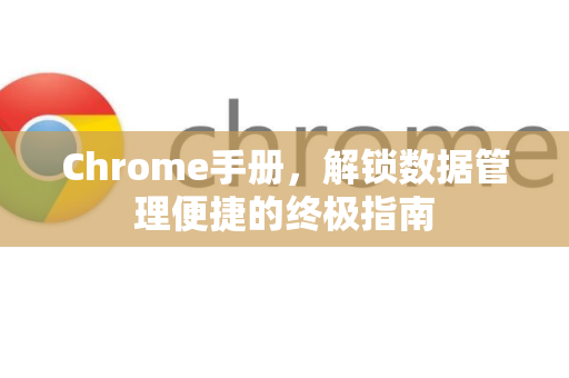Chrome手册，解锁数据管理便捷的终极指南-第1张图片-Chrome下载官网|Google官方浏览器下载