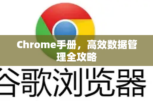 Chrome手册，高效数据管理全攻略-第1张图片-Chrome下载官网|Google官方浏览器下载