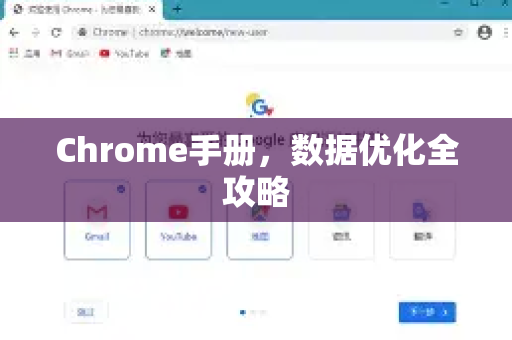 Chrome手册，数据优化全攻略