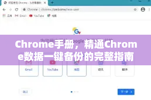 Chrome手册，精通Chrome数据一键备份的完整指南