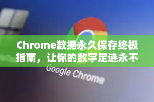 Chrome数据永久保存终极指南，让你的数字足迹永不丢失