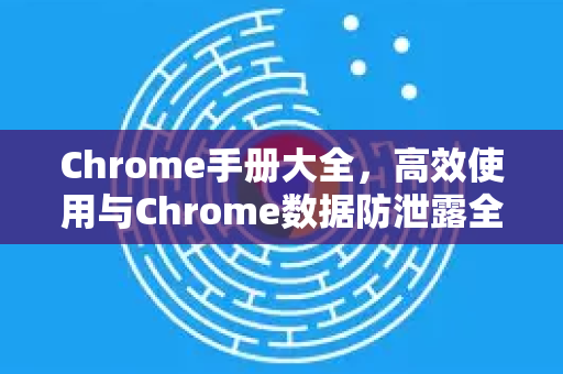 Chrome手册大全，高效使用与Chrome数据防泄露全解析