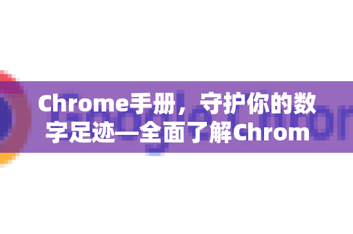Chrome手册，守护你的数字足迹—全面了解Chrome个人信息保护