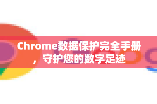 Chrome数据保护完全手册，守护您的数字足迹