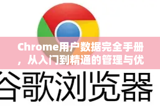 Chrome用户数据完全手册，从入门到精通的管理与优化指南