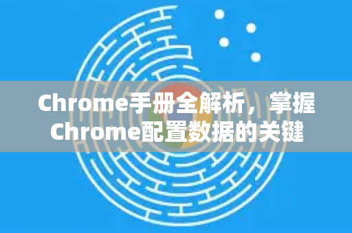 Chrome手册全解析，掌握Chrome配置数据的关键