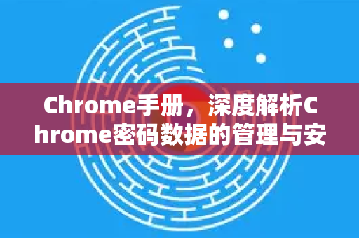 Chrome手册，深度解析Chrome密码数据的管理与安全指南
